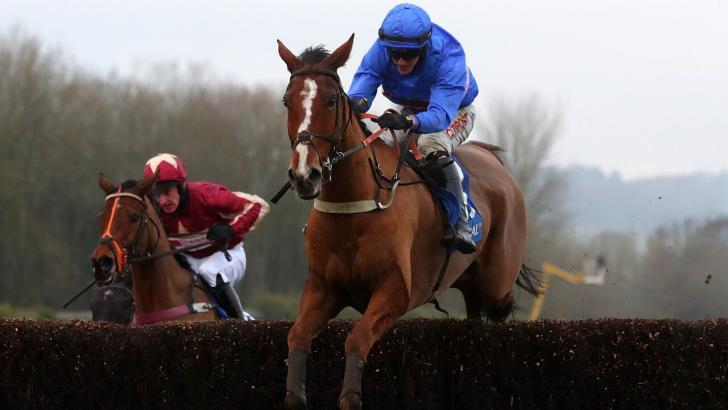 Secret Reprieve jumps a fence
